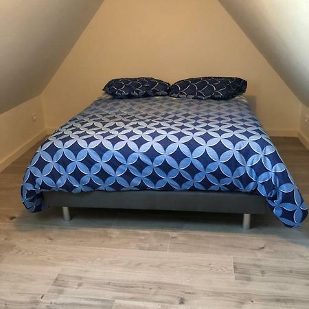 דירות Duplex Hyper Centre קולמר מראה חיצוני תמונה
