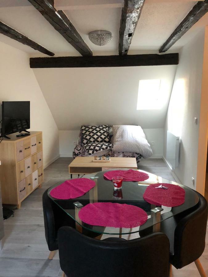 דירות Duplex Hyper Centre קולמר מראה חיצוני תמונה